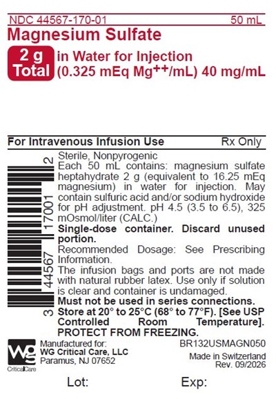 Nvo Magnesium Sulfate In Water For Injection 2 G Total Bag Image (Image 04)