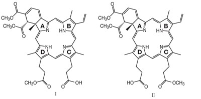 Chemical Structure-visudyne (Image 01)