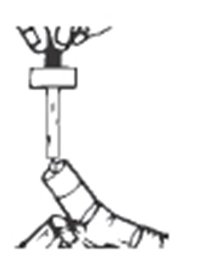 Figure 2 (953ab65b B157 41b3 8f90 98fa9d7f20c5 03)