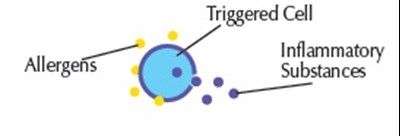 image-01.jpg cell - image 01