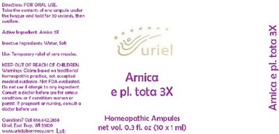 Arnicaepl.tota3xampule (Arnicaepl.tota3xampule)