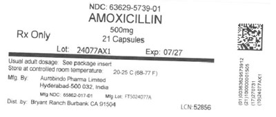 Label (Lbl636295739)