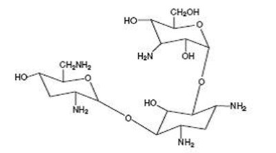 Tobramycin Structural Formula (Db94e7c9 81e5 4a3b 9e68 8f60eafe4fa0 01)