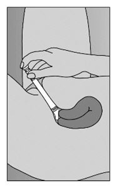 Figure C (Premarin 04)