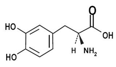 Levodopa-chem-str - Levodopa chem str