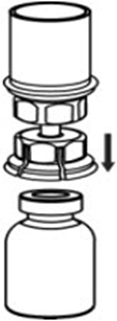 Figure 4 - corifact 04