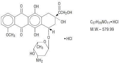 structure - doxorubicin   liquid   novaplus 1