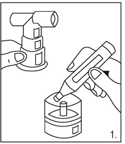 1 (Image 4)
