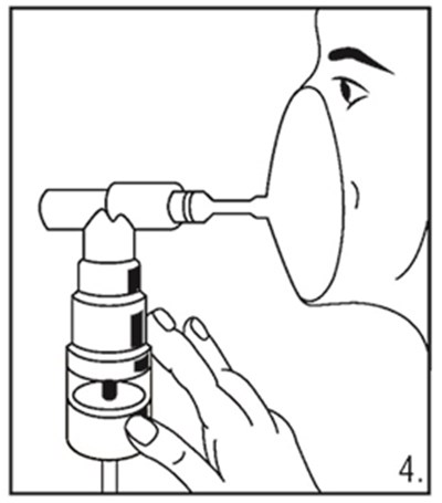 1 (Image 7)