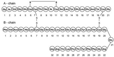 Chemical Structure (Insulin 01)