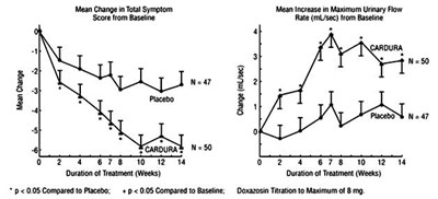 Figure 1 (Study 1)