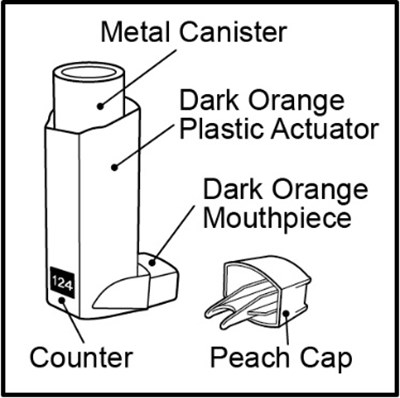 fluticasonepropionatehfa-spl-graphic-05.jpg Figure A - fluticasonepropionatehfa spl graphic 05