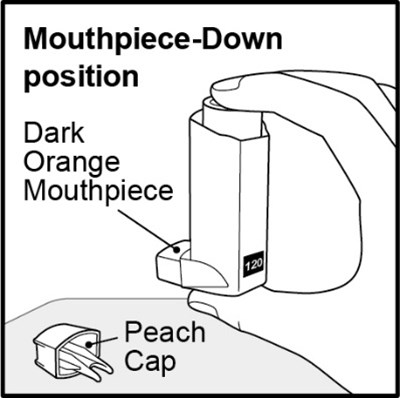 fluticasonepropionatehfa-spl-graphic-09.jpg Figure E - fluticasonepropionatehfa spl graphic 09