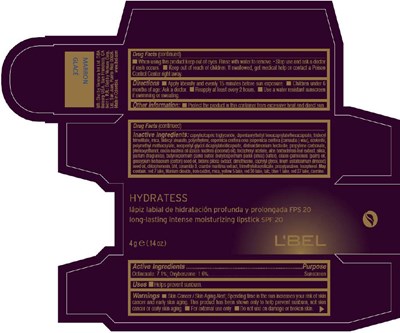 PRINCIPAL DISPLAY PANEL - 4g Tube Box - MARRON GLACÉ - lbel 10