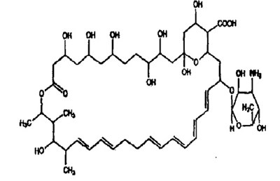 Image Description (Nystatin Oral Suspension Structure)