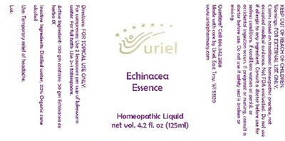 Echinaceaessence (Echinaceaessence)