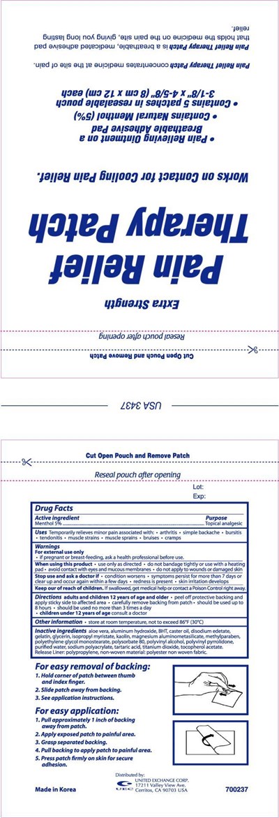 Image Of Carton Label (Painrelieftherapypatch)