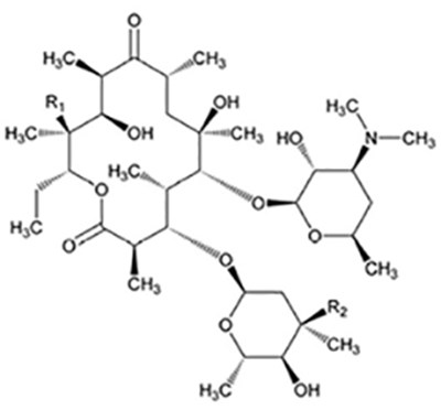 1 (Image 1)