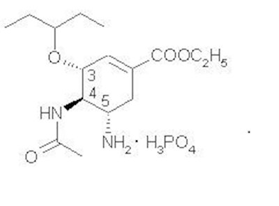 Structure (2ee59c2e C3c0 4ef8 B6a9 53d1a6c8c69e 01)