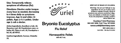 BRYEUCP01.jpg bryonia eucalyptus pellets bottle label - BRYEUCP01