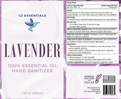 image description - Image 1