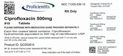 ciprofloxacin-fig2.jpg 71205-536-10 - ciprofloxacin fig2