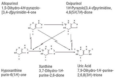 Allopurinol is a structural analogue of the natural purine base, hypoxanthine. It is an inhibitor of xanthine oxidase, the enzyme responsible for the conversion of hypoxanthine to xanthine and of xanthine to uric acid, the end product of purine metabolism in man. Allopurinol is metabolized to the corresponding xanthine analogue, oxipurinol (alloxanthine), which also is an inhibitor of xanthine oxidase. - image 2