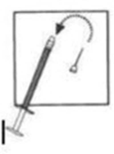 Figure 4 (Cet02 0000 05)