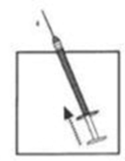 Figure 9 (Cet02 0000 10)
