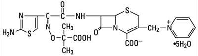 tazicef-01.jpg Chemical Structure - tazicef 01