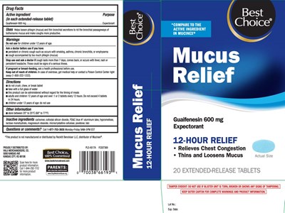 Guaifenesin 600 mg (Mucus Relief 600 mg Extended Release Caplets 1)