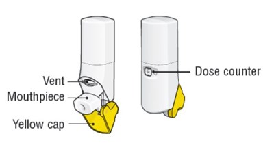 airduo-respiclick-n208799-13.jpg Figure A - airduo respiclick n208799 13