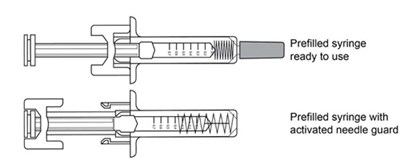 Image (Filkri 04a)