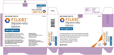 Principal Display Panel (Filkri 33)