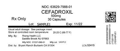 Label (Lbl636297988)