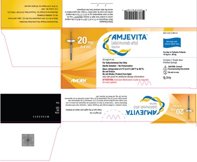 amjevita-40.jpg PRINCIPAL DISPLAY PANEL - 20 mg Syringe Carton - amjevita 40