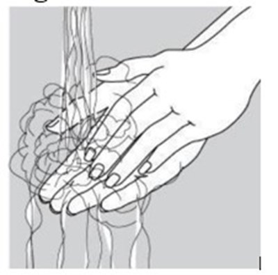Figure A (Ciprofloxacin 03)