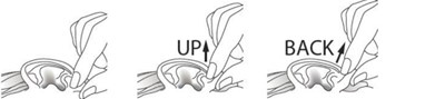 Figure F (Ciprofloxacin 08)