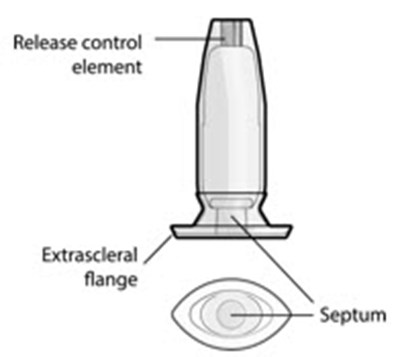 Figure 29 (Susvimo 29)