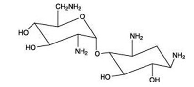 Neomycin A (Cortisporin Tc 3)