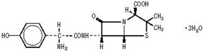 Structural Formula For Amoxicillin (Image 01)