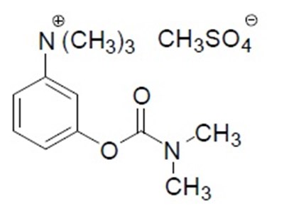 719fb14c-fc9a-46c9-a7e3-ca4c8a4a8525-01.jpg structure - 719fb14c fc9a 46c9 a7e3 ca4c8a4a8525 01