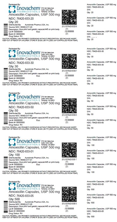 500 mg - amoxicillin fig2