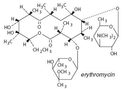Erythromycin (structural Formula) (Image 01)
