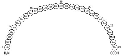 Structure (Image 01)