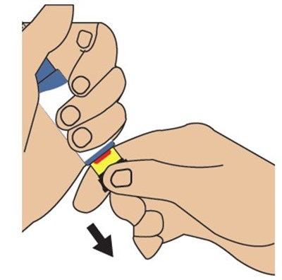 Step3a (Teriparatidestep3a)