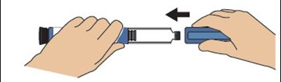 Step6d (Teriparatidestep6d)