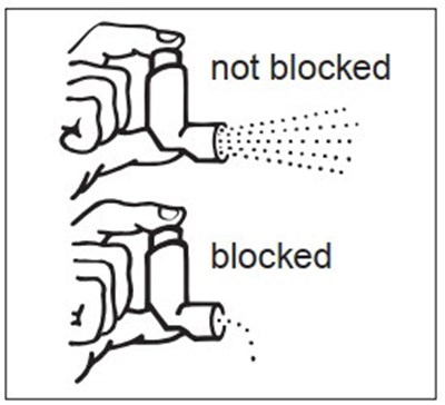 Figure E (Alb05 0001 08)