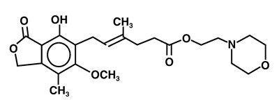 Mmf Structure (241955ae 7c7d 4643 A723 9c065f4ca733 01)