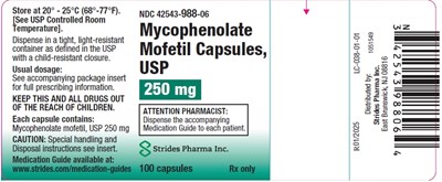 250 mg 100s (241955ae 7c7d 4643 A723 9c065f4ca733 02)